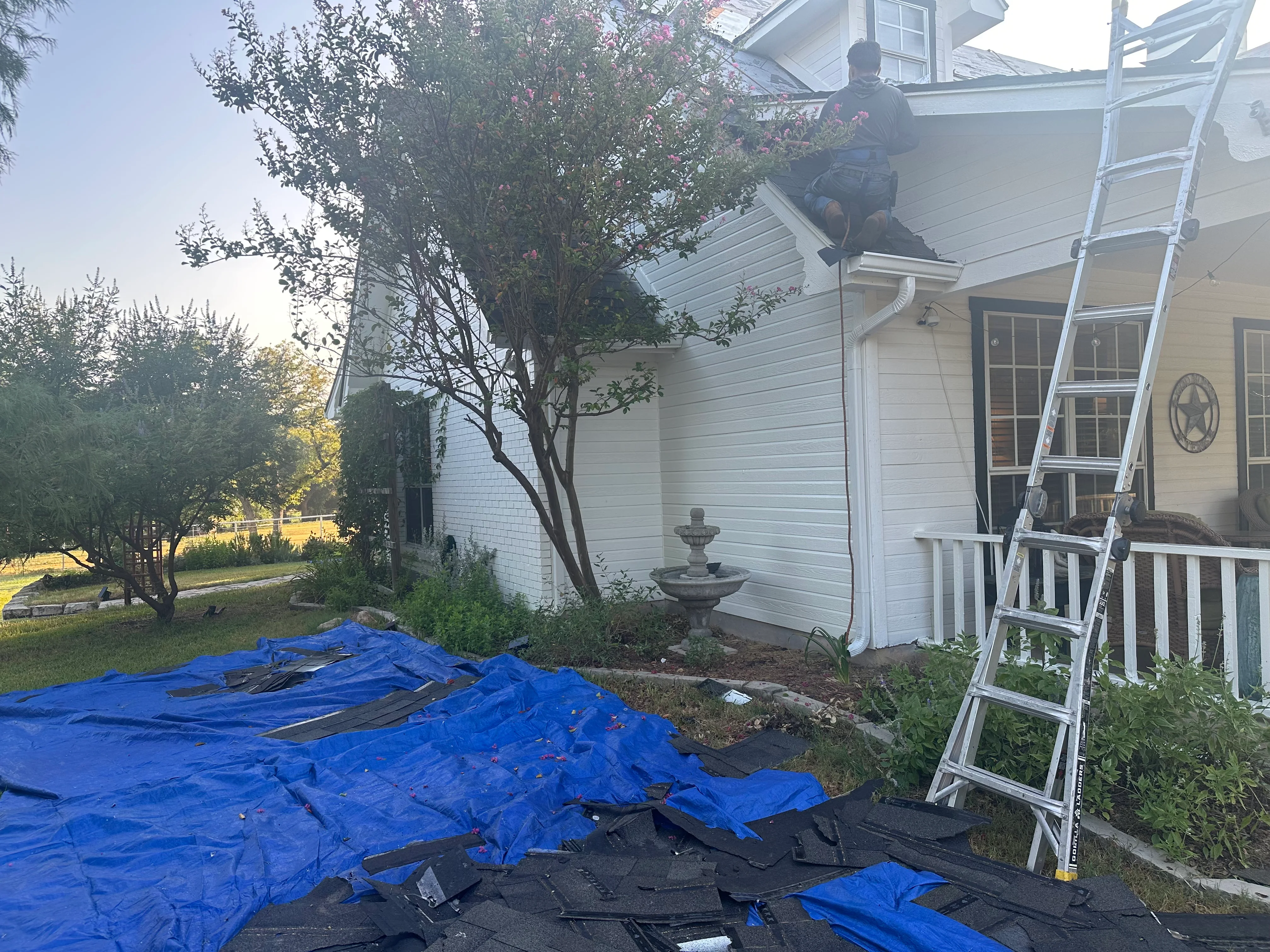 Residential roof replacement with blue tarps, aluminum ladders, and white house exterior
